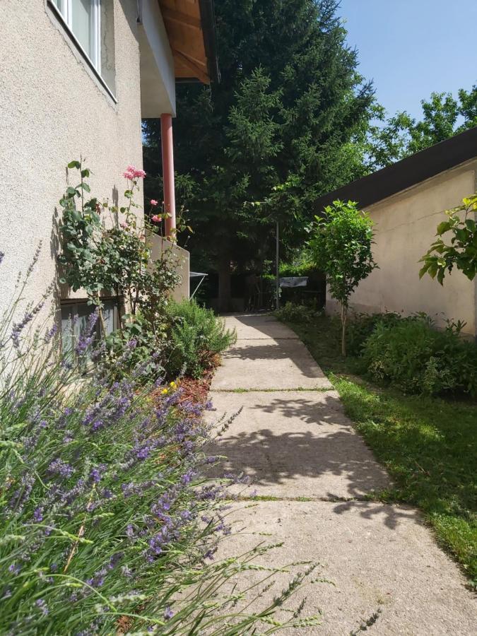 Sadrvan Una Apartment Bihac Bagian luar foto